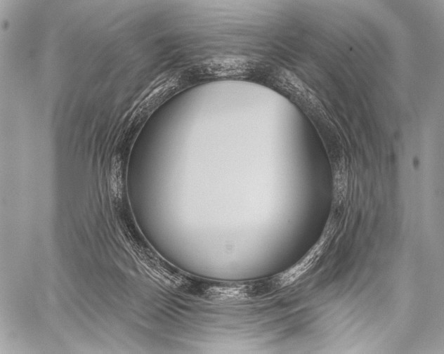 X0000059040170200510281551