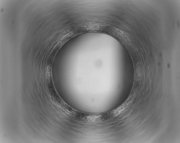 X0000059040172200510281551