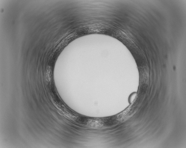 X0000059040174200510281551