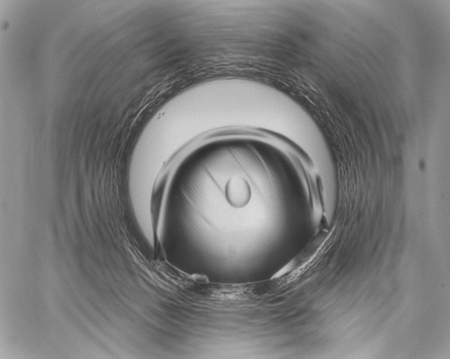 X0000059040175200510281551