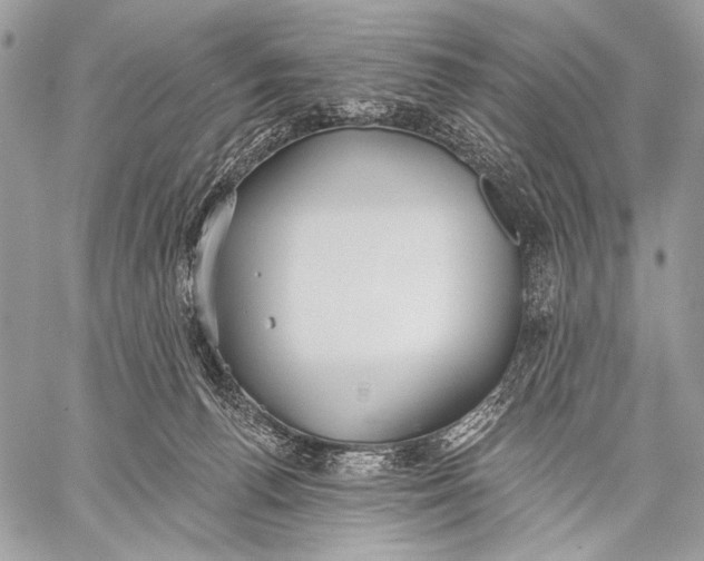 X0000059040176200510281551