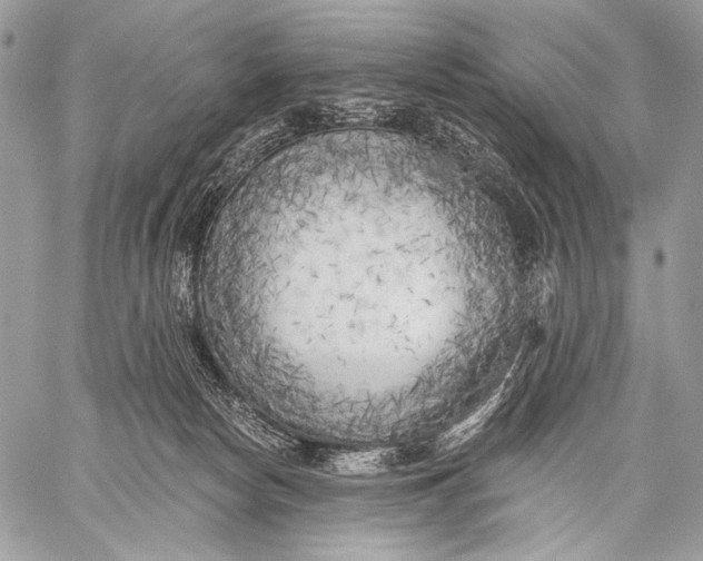 X0000059040178200510281551