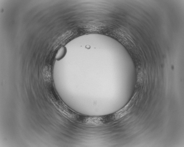 X0000059040179200510281551