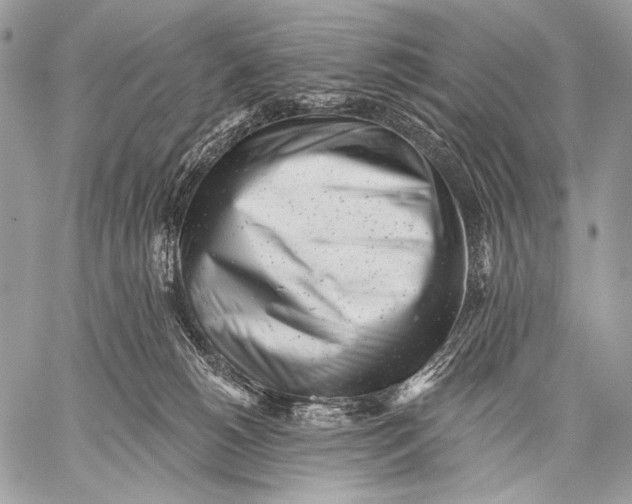 X0000059040180200510281551