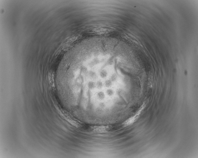 X0000059040182200510281551