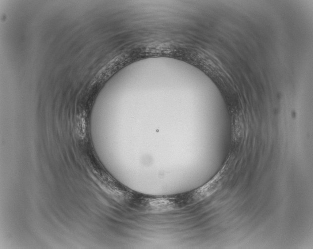 X0000059040183200510281551