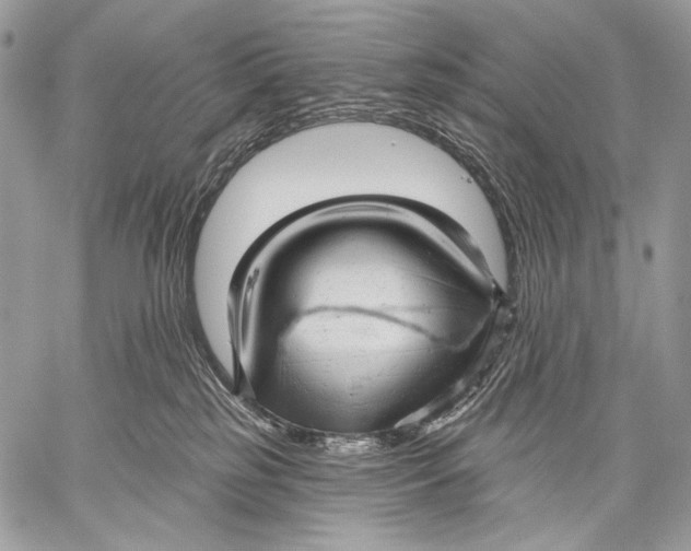 X0000059040185200510281551