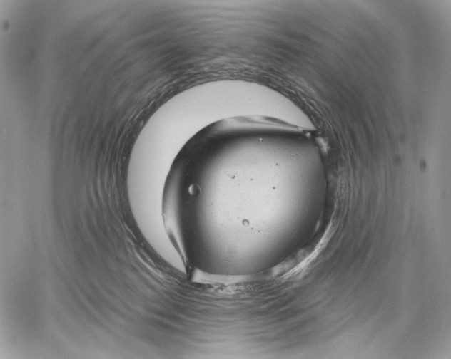 X0000059040186200510281551