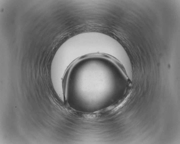 X0000059040187200510281551