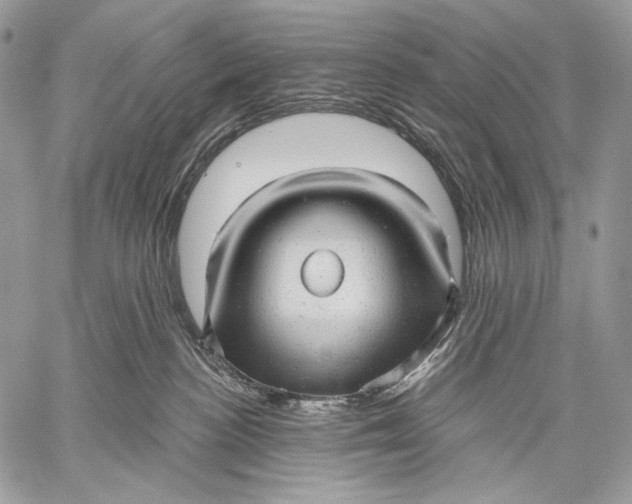 X0000059040188200510281551