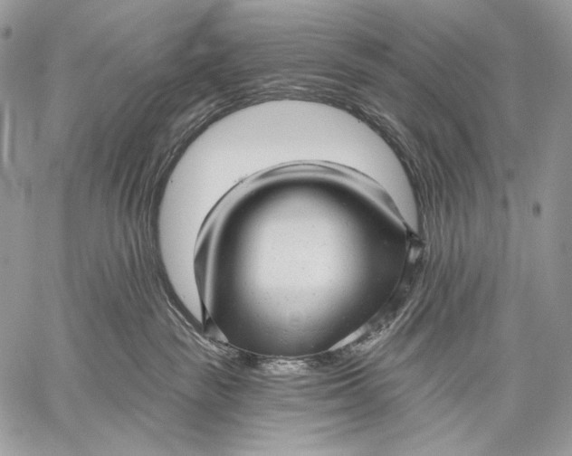 X0000059040189200510281551