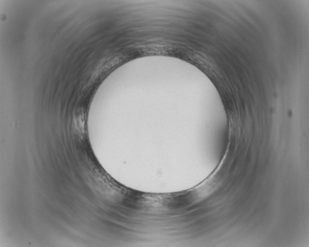 X0000059040190200510281551