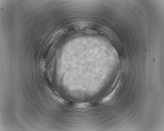 X0000059040191200510281551