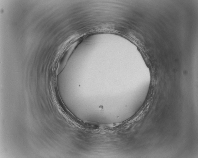 X0000059040193200510281551