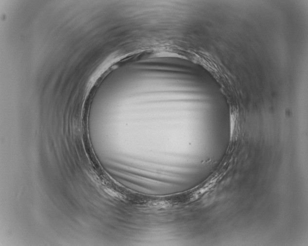 X0000059040195200510281551