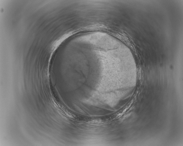 X0000059040196200510281551