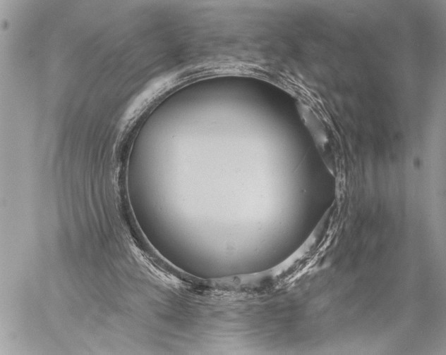 X0000059040197200510281551