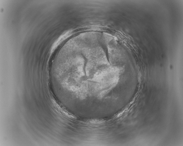 X0000059040198200510281550