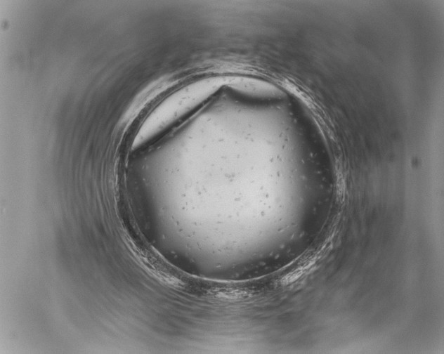 X0000059040199200510281550