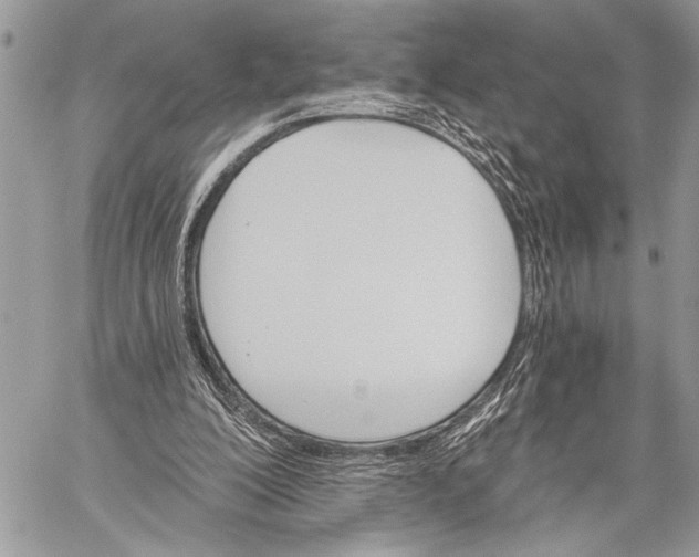 X0000059040200200510281550