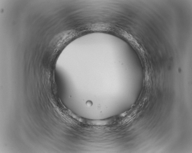 X0000059040201200510281550