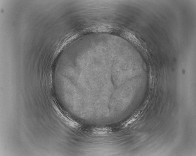 X0000059040202200510281550