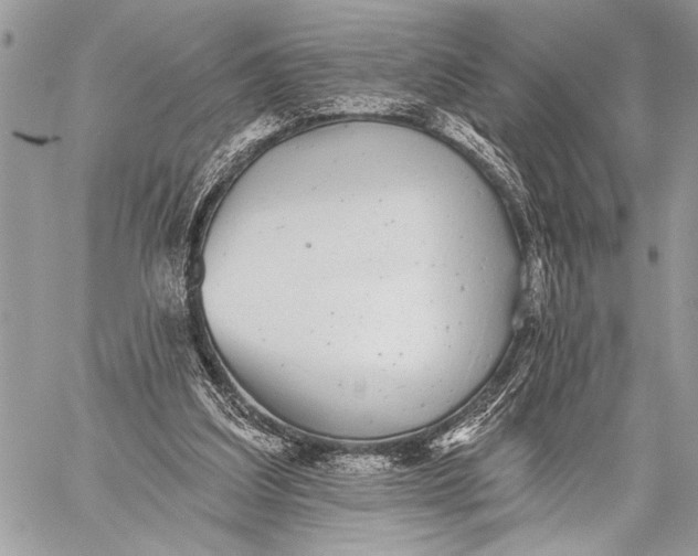 X0000059040203200510281550