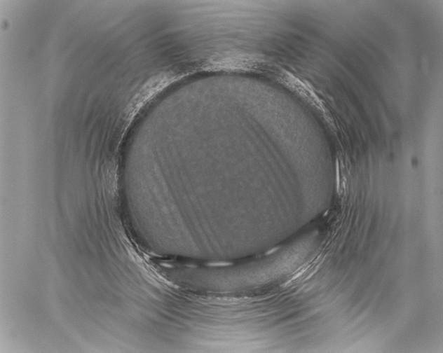 X0000059040204200510281550