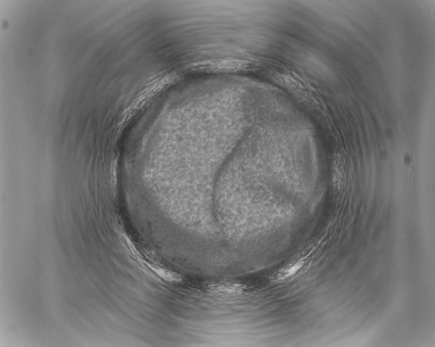 X0000059040206200510281550