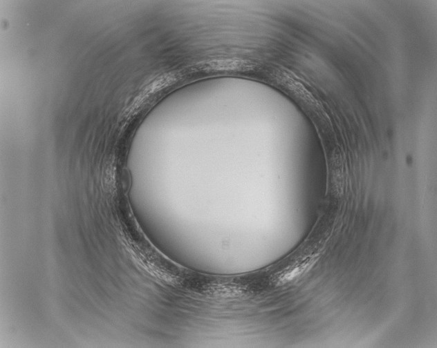 X0000059040207200510281550