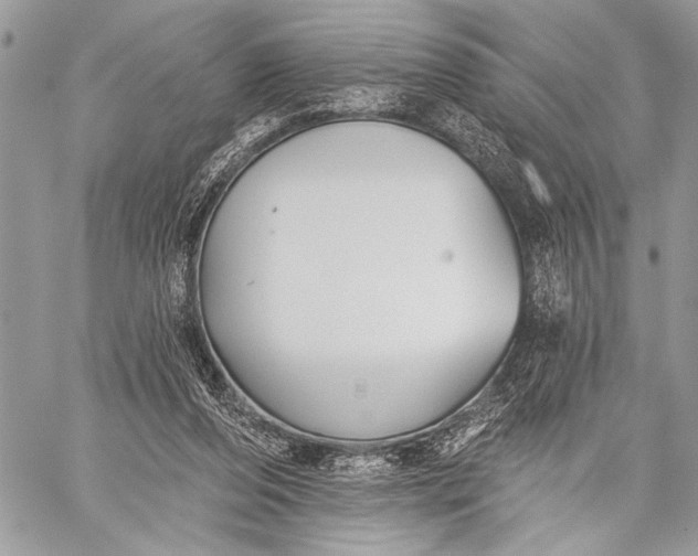 X0000059040208200510281550