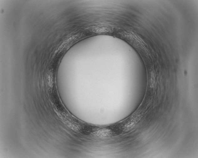 X0000059040210200510281550