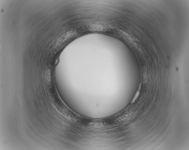 X0000059040211200510281550