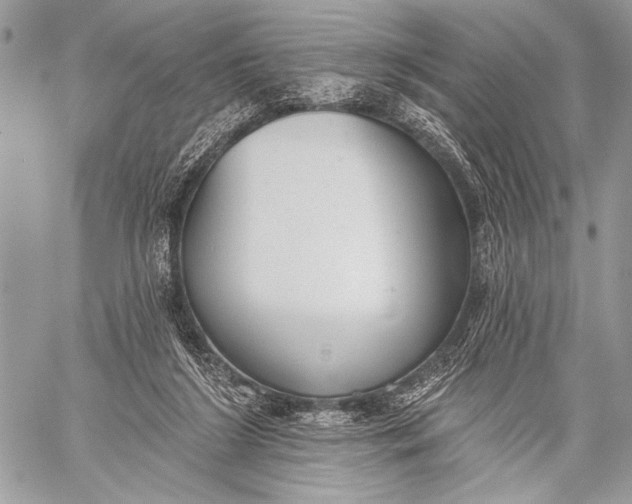 X0000059040212200510281550