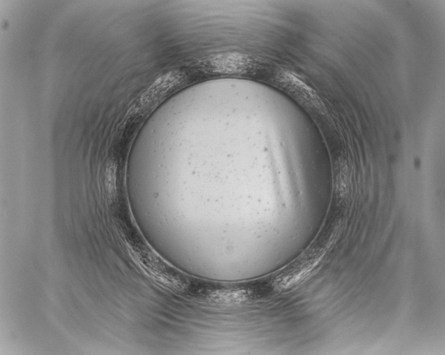 X0000059040213200510281550