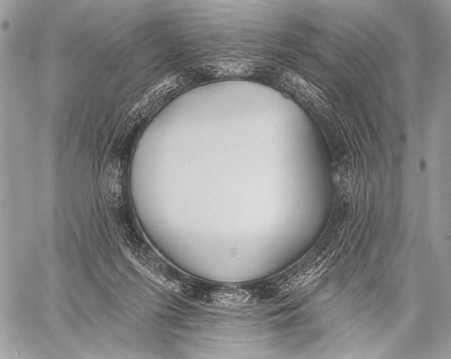 X0000059040215200510281550