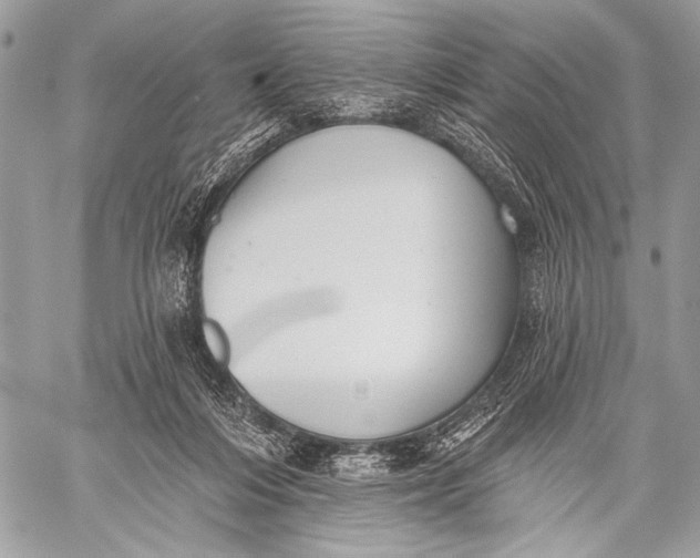 X0000059040216200510281550