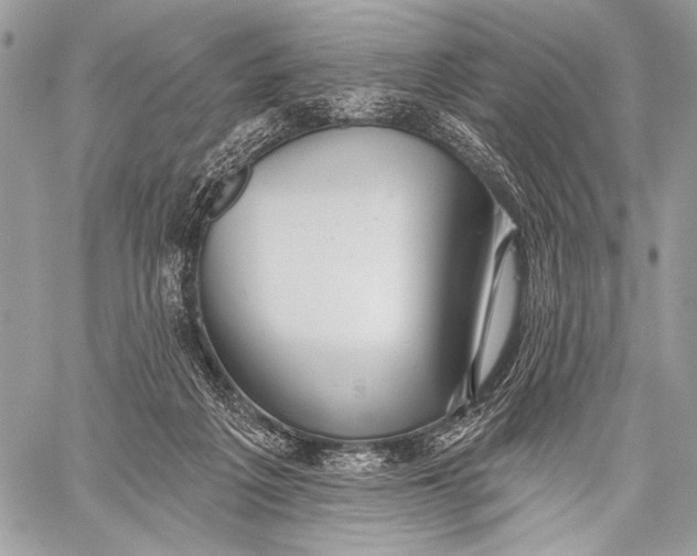 X0000059040217200510281550