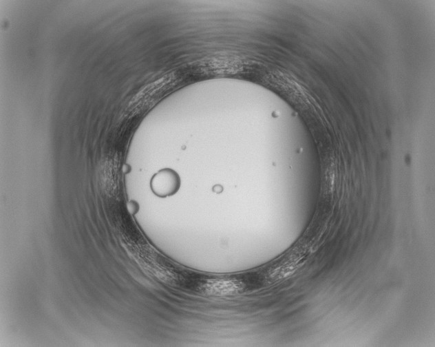 X0000059040218200510281550