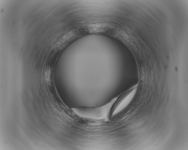 X0000059040219200510281550