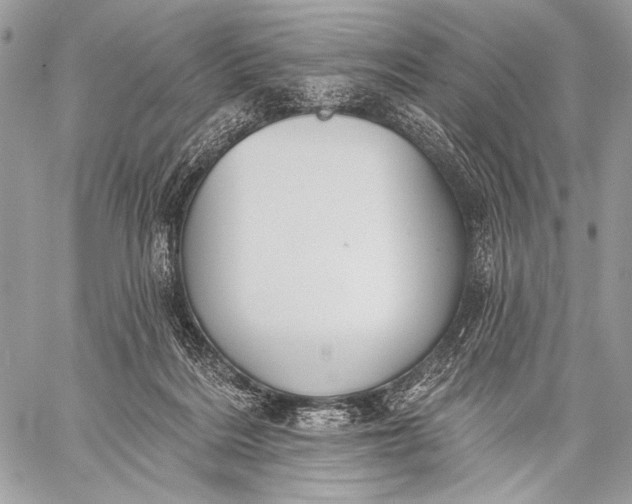 X0000059040220200510281550