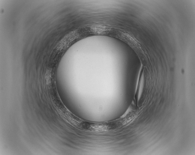 X0000059040221200510281550