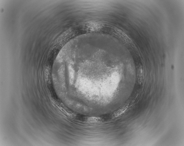 X0000059040222200510281550