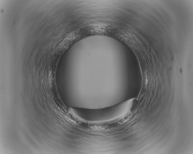 X0000059040223200510281550