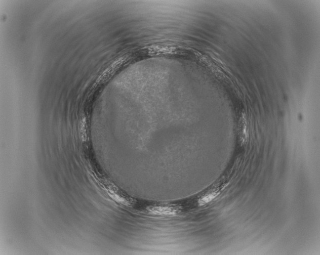 X0000059040224200510281550