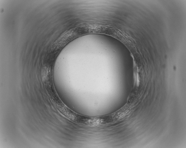 X0000059040225200510281550