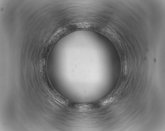 X0000059040229200510281550