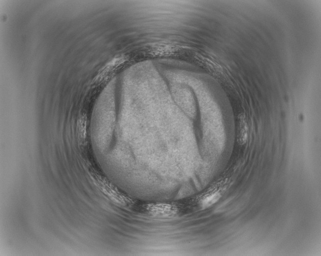 X0000059040230200510281550