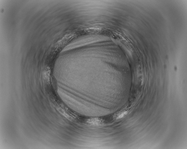 X0000059040231200510281550