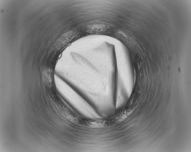 X0000059040232200510281550